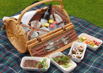picnics5